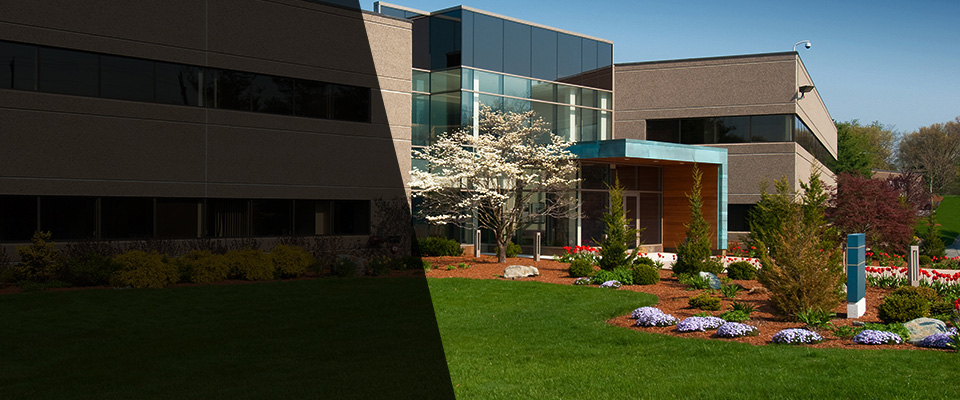 Waikoloa Landscapers