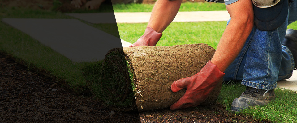 Waikoloa Landscapers